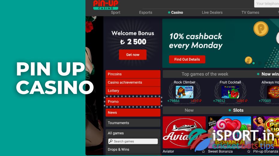 casino pin up online slots bettimg game